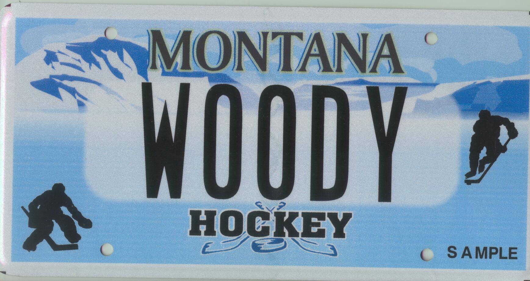Chris Woodcock's Hockey License Plates